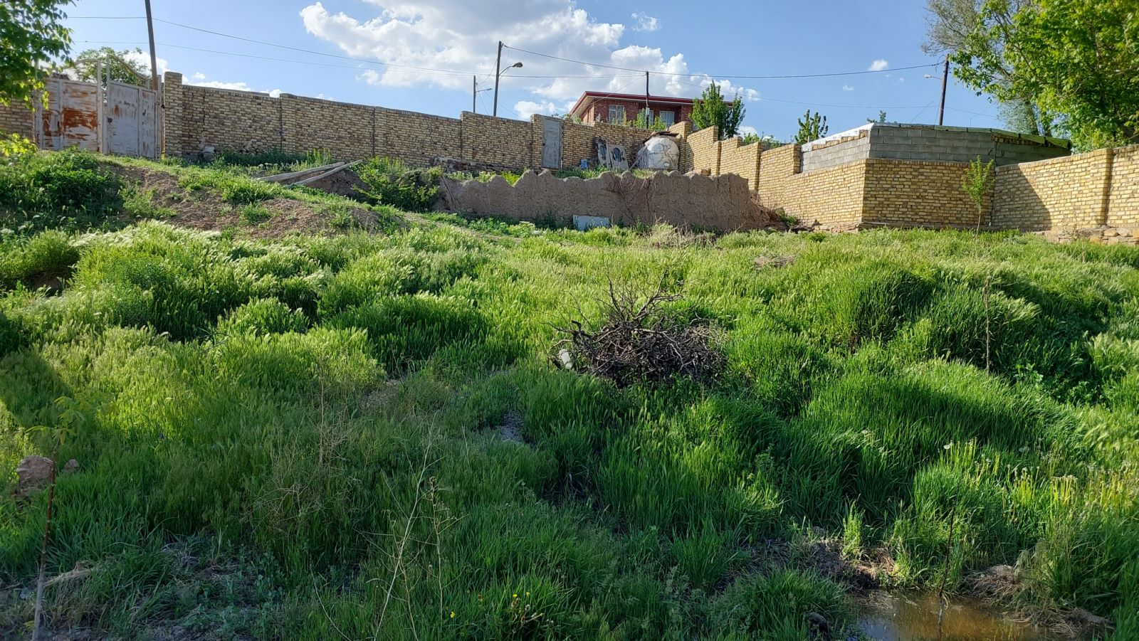 زمین مسکونی